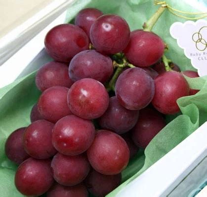 feyworks.com » The World’s Most Expensive Grapes