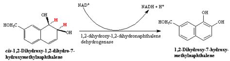 Eawag Bbd Reaction Reacid R0763