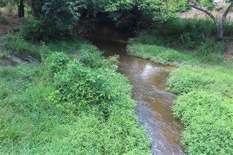 Rio Pojuca Rea De Lazer Pesca E Sustendo De Concei O Do Jacu Pe E Regi O