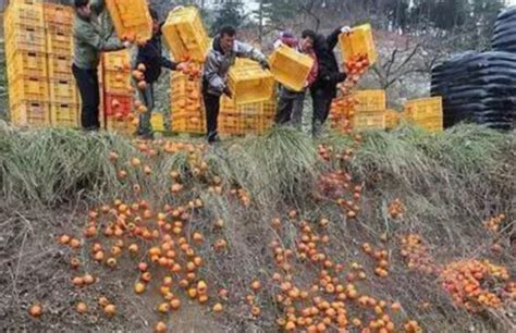 蔬菜滞销后，多地又出现水果滞销，为何近年这么多农产品滞销？农产品滞销西瓜新浪新闻