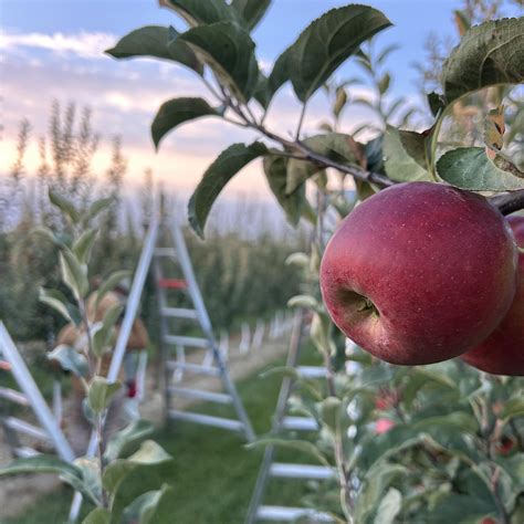 hendricks immediate care brownsburg 6