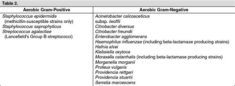 Ritemed Cefepime Mechanism Of Action Mims Philippines