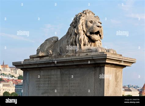 Budapest Cheney Chain Bridge Stone Lions Stock Photo Alamy