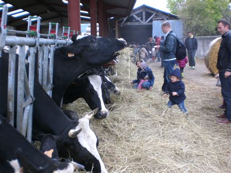 Balade Du Go T La Ferme De St Thibault Vous Remercie La Ferme