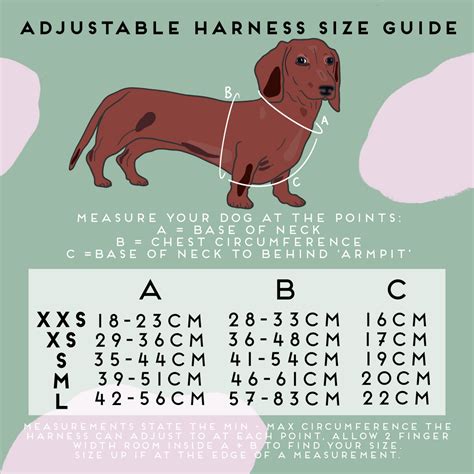 Dog Size Charts Leads Collars And Harnesses Poppy Ted