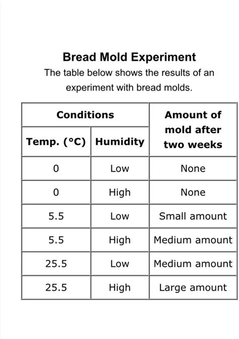 Bread Mold Experiment Data