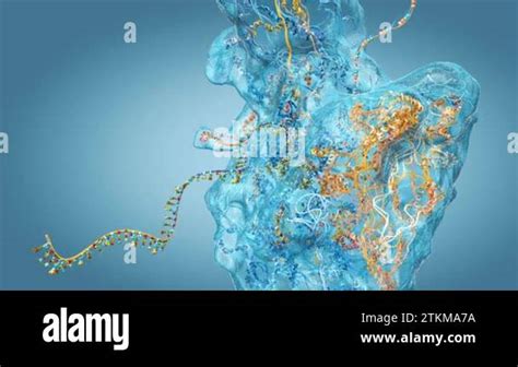 Rna synthesis process Stock Videos & Footage - HD and 4K Video Clips ...