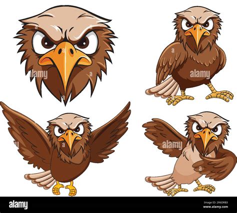 Set Of Hawk Bird Cartoon Illustration Stock Vector Image And Art Alamy