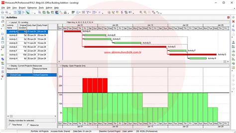 Primavera P6 Project Management Sanytera