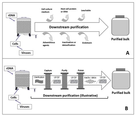 A Brief Overview Of Vaccine Purification Technologies And Analytical Tools