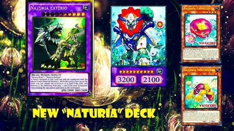 Ygopro New Naturia Deck Naturia Molcricket Naturia Camellia Darkwing