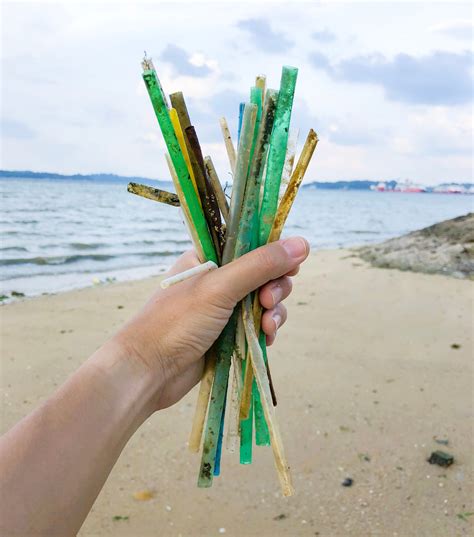 Plastic Straws - Why They Suck & What YOU Can Do — Beyond Plastics ...