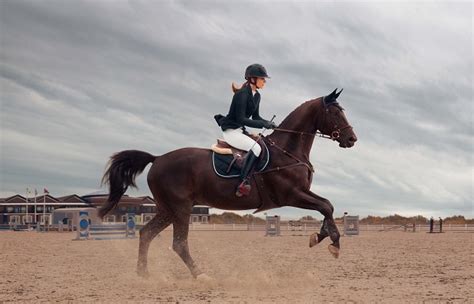 Les Muscles Utilis S Dans L Quitation Domaine Cheval