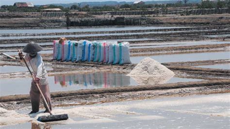 Produksi Garam Nasional Capai 3 8 Juta Ton