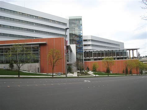 Bellevue City Hall in Washington image - Free stock photo - Public
