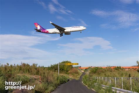 成田で飛行機～あの細道でハワイアンa330 Mgt Greenjet 飛行機撮影記