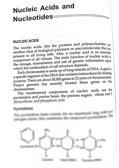 Solution Nucleic Acids And Nucleotides Studypool