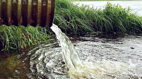 La Picadura De Una Tuber A Causa Un Vertido De Fuel En La R A De Huelva