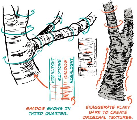 How To Draw Bark Of A Tree