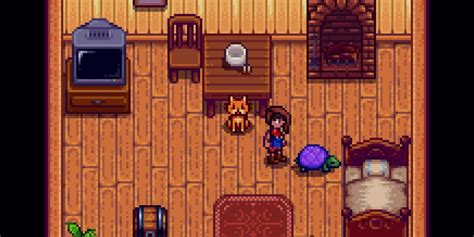 How To Get A Pet Turtle In Stardew Valley