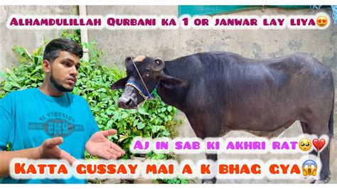 Alhamdulillah 1 Or Qurbani Ka Janwar Lay Liya😍 Katta Gusay Mai Bhag