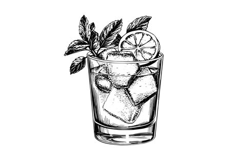 Mojito Cocktail Engraved Isolated Drink Vector Illustration Black And