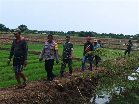 Petani Adukan Kekurangan Debit Air Koramil 1602 Monitoring Dan Cek