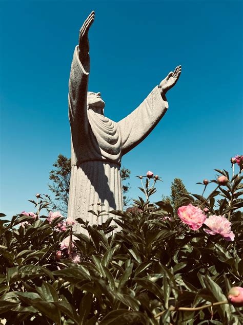 Your Catholic Cemetery Updates