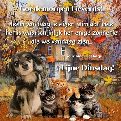 Pin Van Nicole Noens Op Dinsdag Honden Fijne Dinsdag Goedemorgen