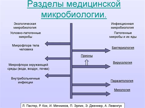 Предмет и задачи медицинской микробиологии - презентация онлайн