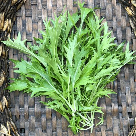 Asian Green - Mizuna - Deep Harvest Farm