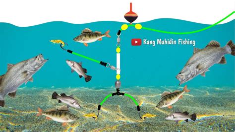 Tutorial Cara Membuat Rangkaian Pancing Ikan Nila Umpan Udang 3 Mata