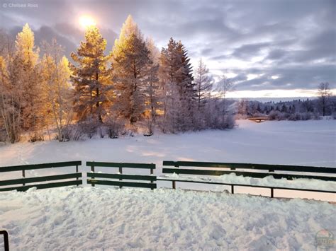 Places to Skate Near Me - Crazy Fun Outdoor Adventures