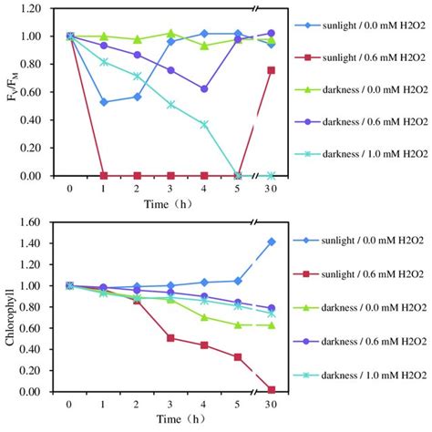 Variation In The Chlorophyll Concentration Under Different Hydrogen Download Scientific Diagram