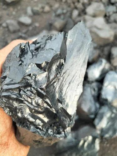 Indonesian Steam Coal Grade Gcv At Rs Tonne In Ankleshwar