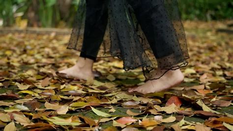 A Woman Foot Walking On The Top Of The Yellow And Brown Leaf 19578559 Stock Video At Vecteezy