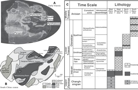 A Early Triassic Global Paleogeography Base Map Courtesy Of R