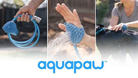 aquapaw net worth 2020