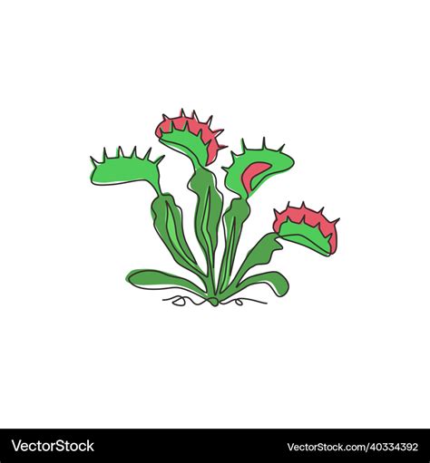 Single One Line Drawing Scary Fresh Venus Flytrap Vector Image