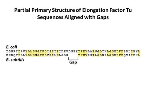 Protein Sequencing Primary Structure Of Proteins Ppt Video Online