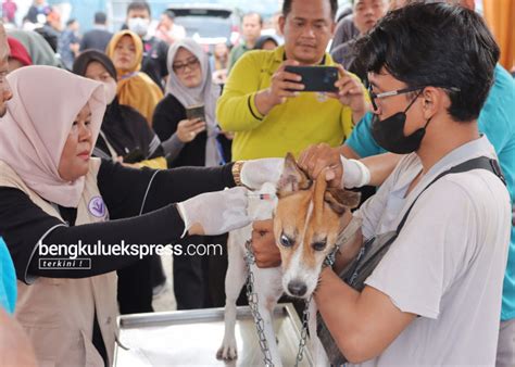 Vaksinasi Rabies Gratis Hari Rabies Sedunia