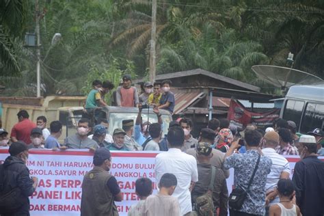 Tolak Perpanjangan Izin Perusahaan Kayu Ratusan Masyarakat Ulayat Demo