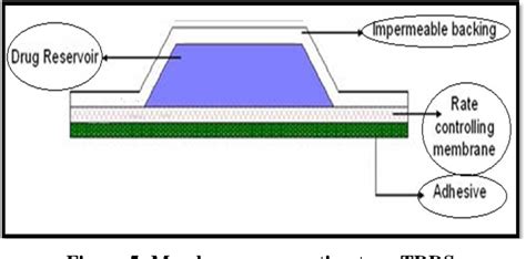 Figure 5 From A NOVEL APPROACH ON TRANSDERMAL DRUG DELIVERY SYSTEM