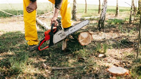 electric chainsaw chain type   smoothest cuts jack