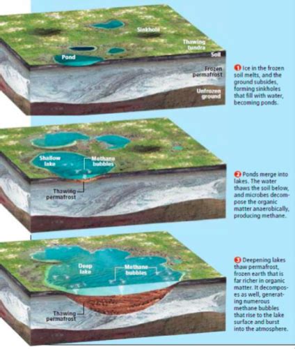 Arctic In The Anthropocene Midterm Flashcards Quizlet