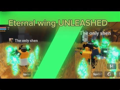 ETERNAL WING UNLEASHED Sakura Stand YouTube