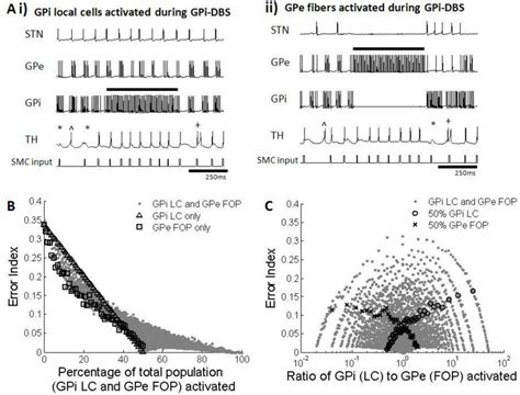 A Firing Patterns Of Subthalmic Nucleus STN Globus Pallidus