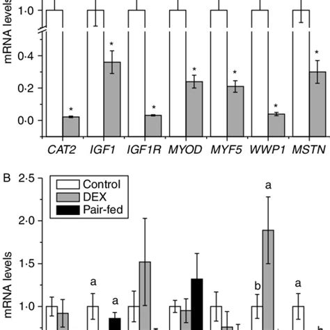 Effects Of Days Of Dexamethasone Treatment Dex Mg Kg Bm On Gene