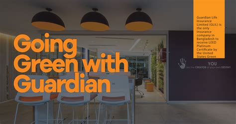 green  guardian ice business times