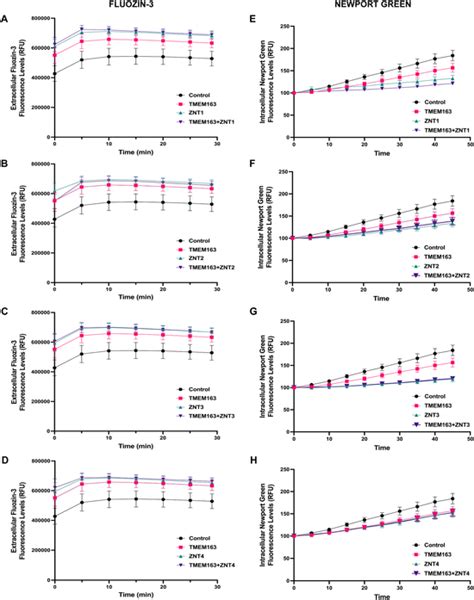 Tmem And Znt Proteins Efflux Zinc Zinc Flux Assays Using The Cell